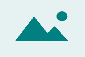 ZXW Online Account 1 Year Activation ✅